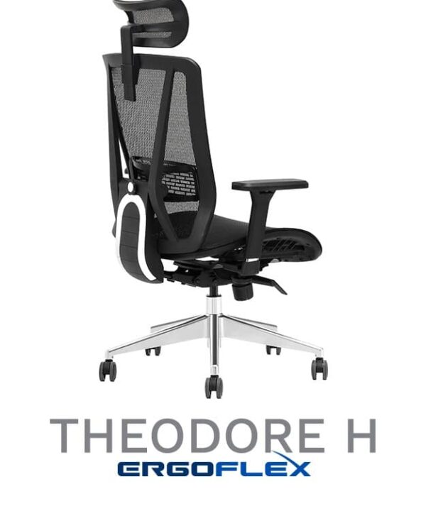 Sillas de Oficina Theodore H - Imagen 3