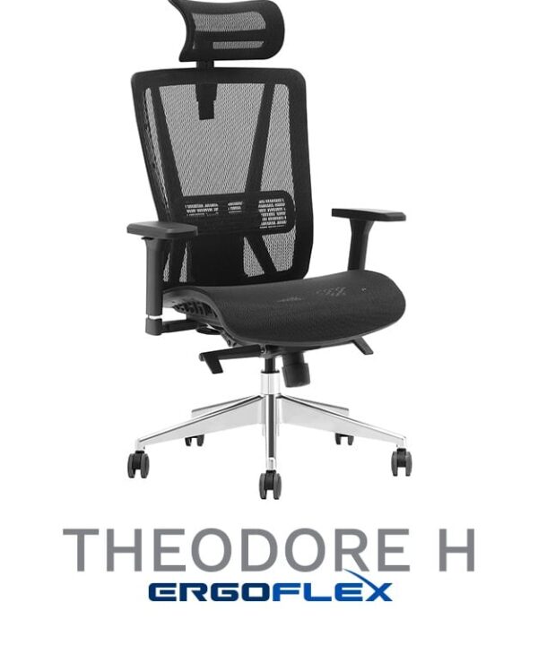 Sillas de Oficina Theodore H - Imagen 4