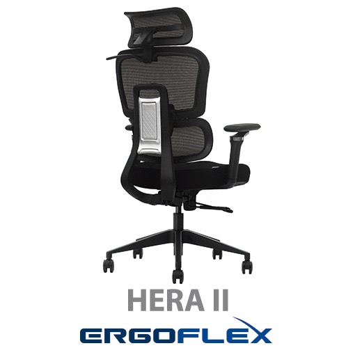 Sillas de Oficina Ejecutivas Ergoflex Hera II