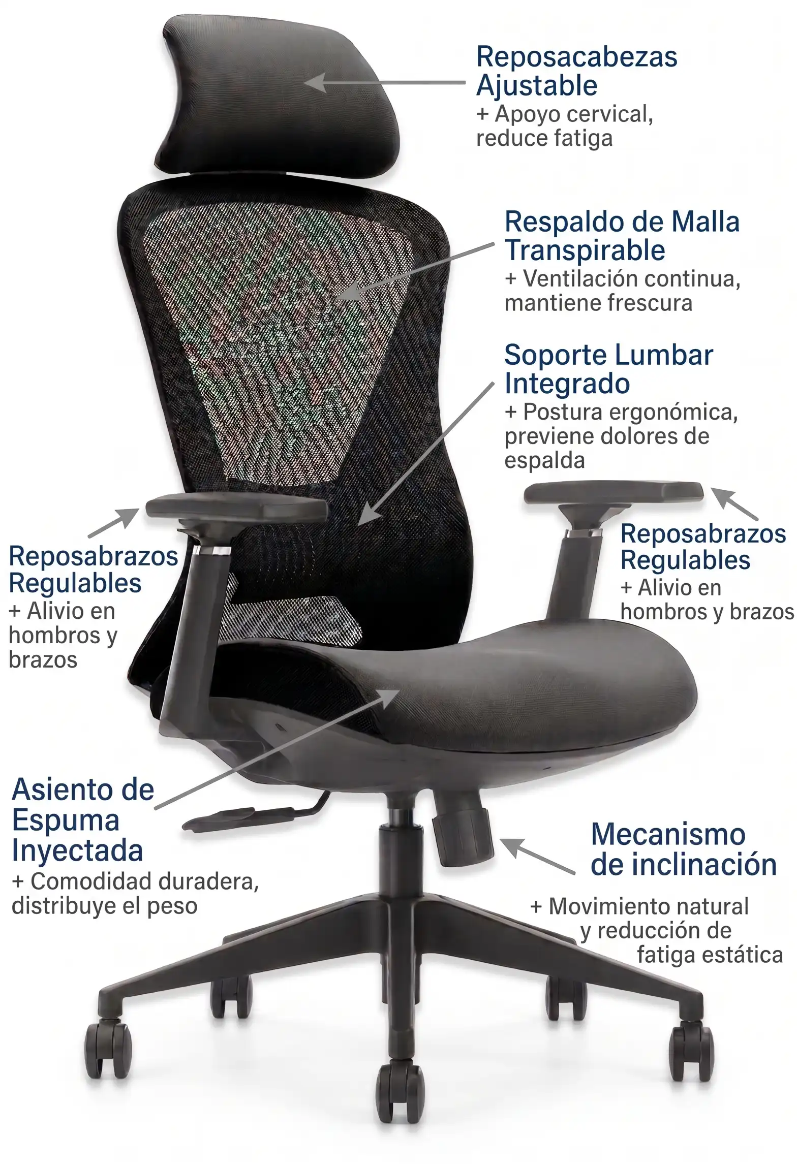 Ergoflex partesv2 copia